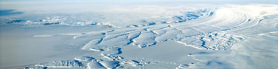 rencontre fille tokyo