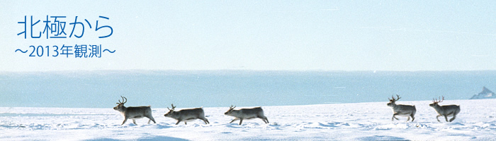 北極から～2012観測便り～