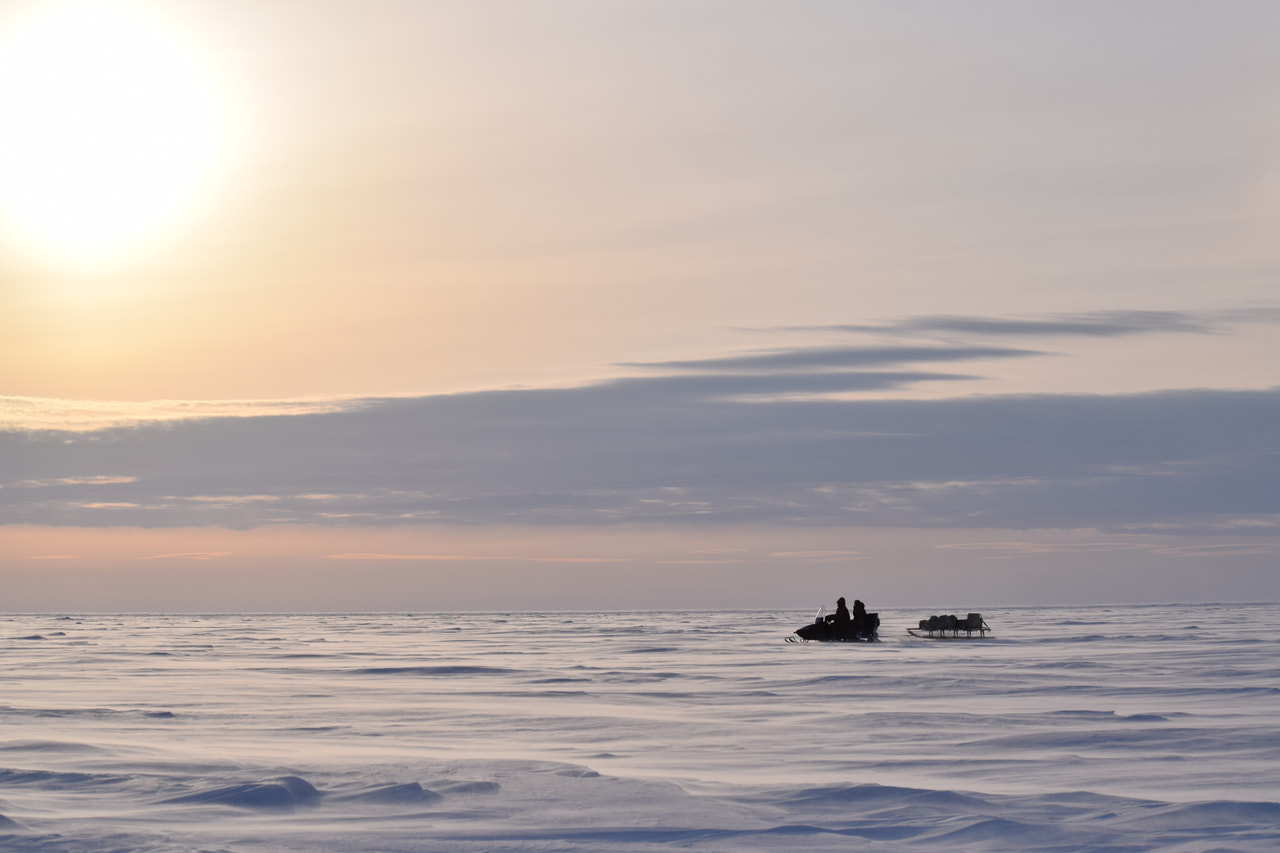平成28年度若手研究者海外派遣報告 ロシア北東部でのホッキョクグマ調査 Arcs通信 Arcs 北極域研究推進プロジェクト