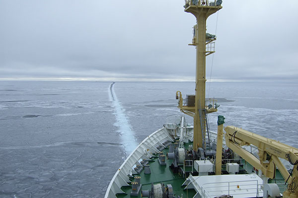 RV Mirai cautiously nosing her way through a thin ice area