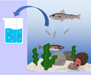 Analysis of marine environmental DNA