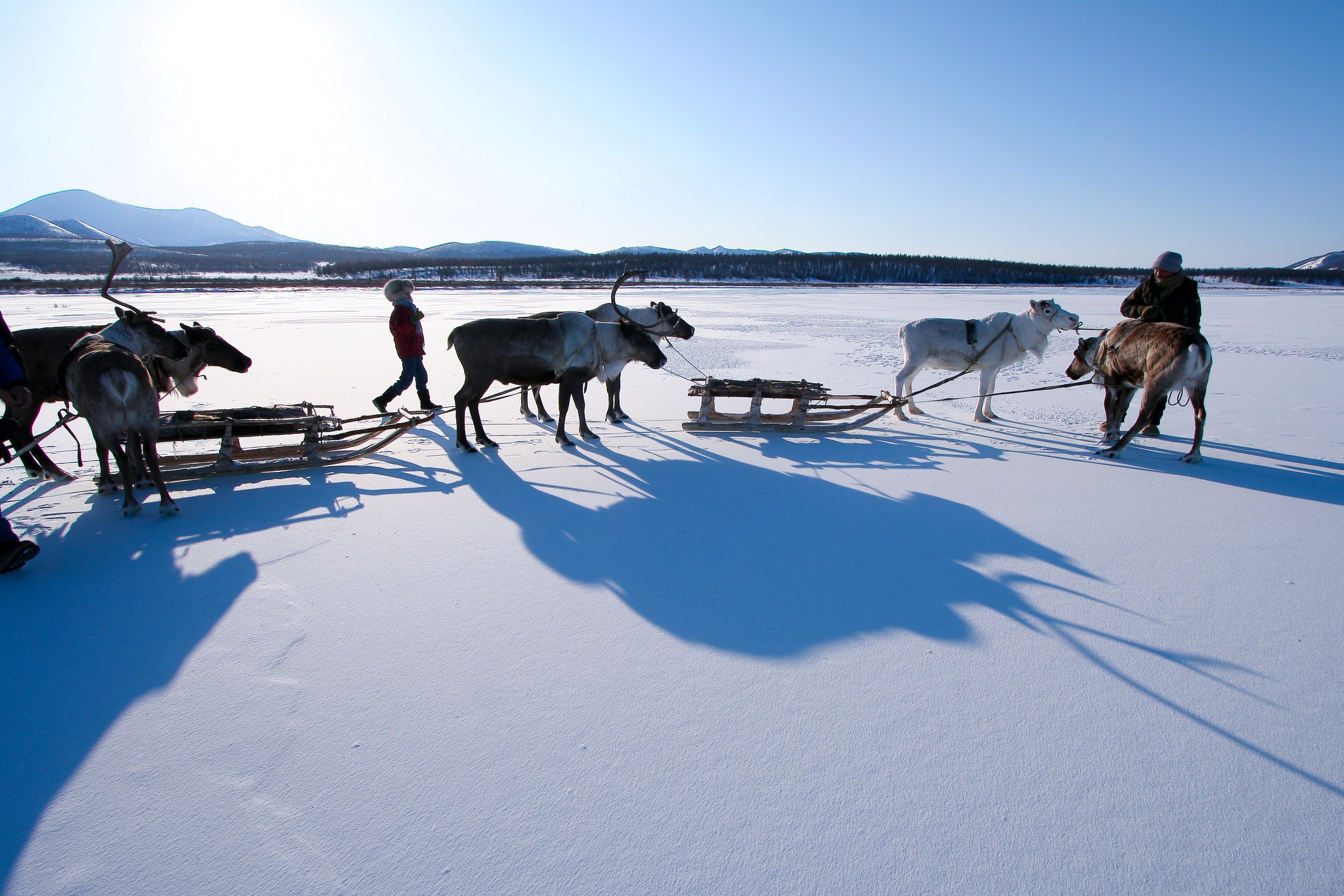 A brother and sister travelling by reindeer sled