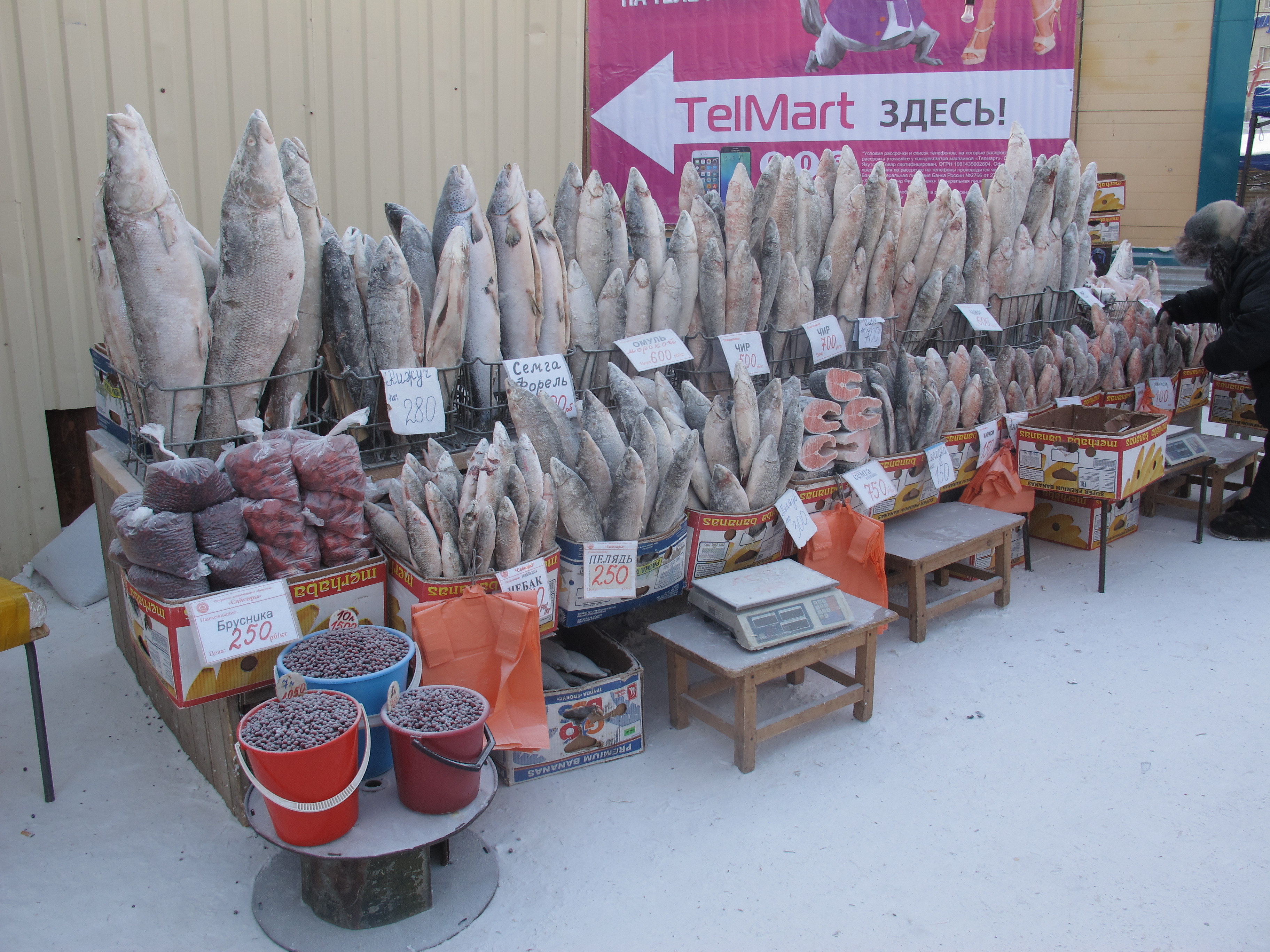 Fish sold at an outdoor market in winter