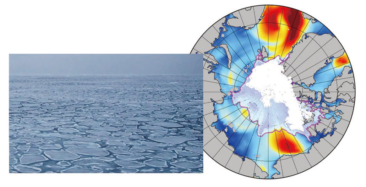 Waves propagated under sea ice (photo), and the results of wave simulation in the Arctic Ocean in summer (ﬁgure)