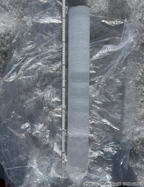 Ice core. Cryoconite layer near the surface.