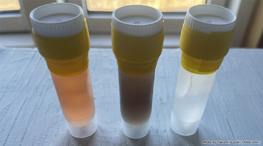 Extraction of pigments into organic solvents. From left to right: red snow, dark ice and white ice.