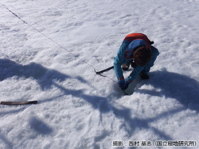 AWSを固定するワイヤーを調整する鈴木拓海さん（千葉大学）