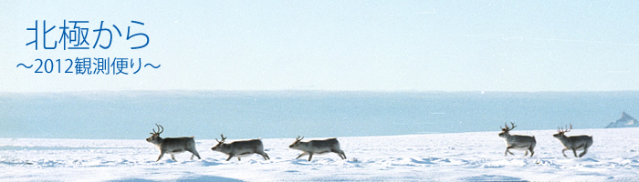 北極から～2012観測便り～
