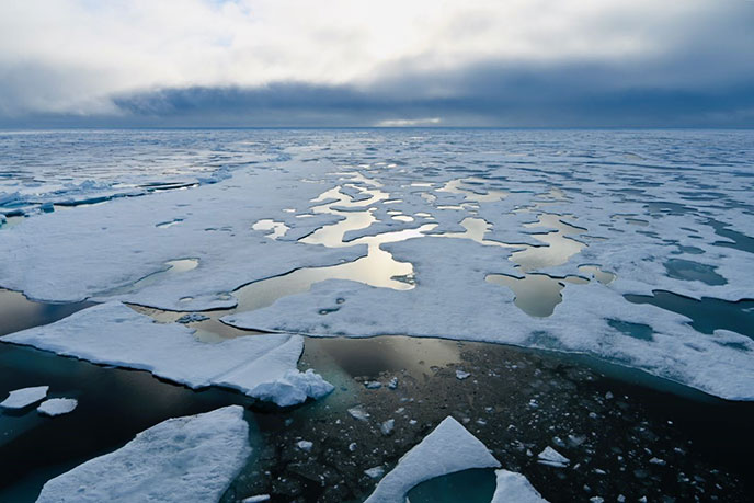 北極海の海氷面積が9月13日に年間最小値を記録 研究成果 国立極地研究所