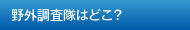 野外調査隊はどこ？