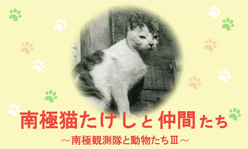 南極猫たけしと仲間たち