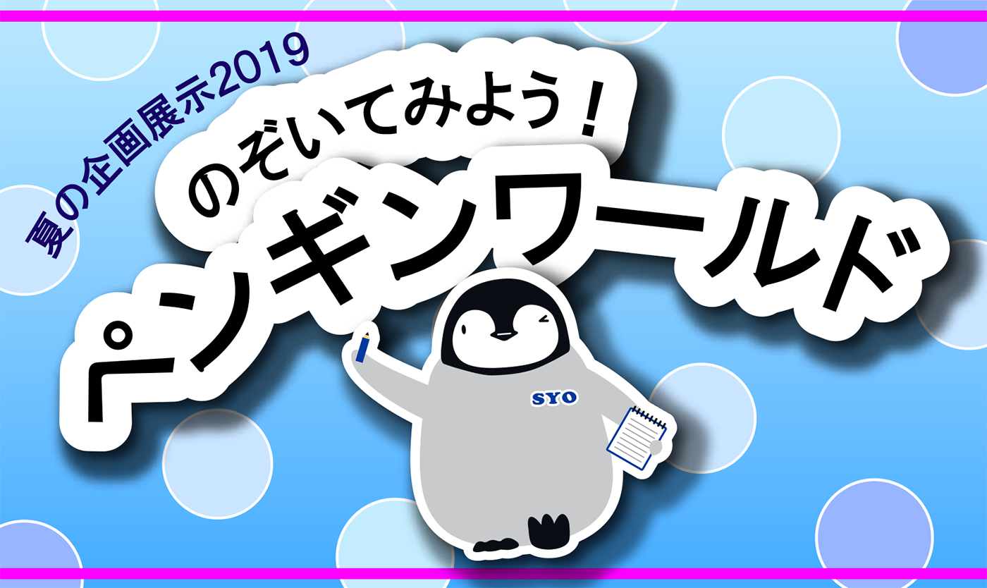 夏の企画展示2019 のぞいてみよう！ペンギンワールド