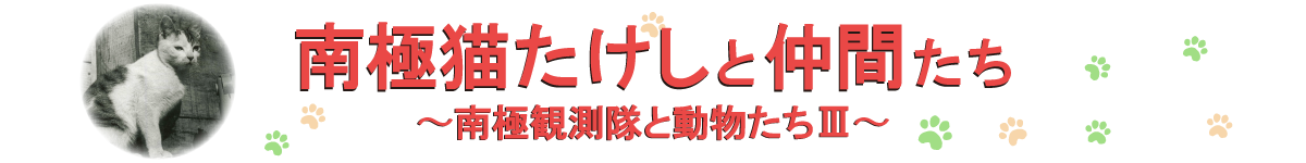 南極猫たけしと仲間たち