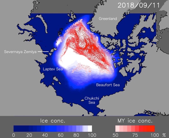 Predicted sea ice cover and multi-year ice distribution on September 11, 2018