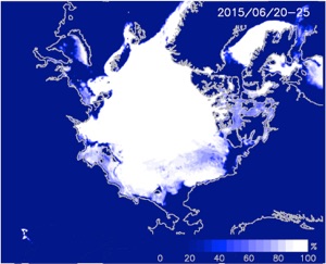 2015年7月20日から25日までの平均海氷密接度分布