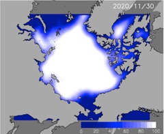 11月30日の予測海氷分布