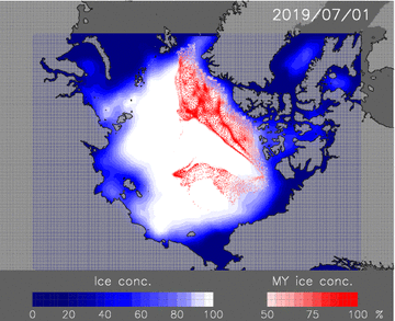 予測された海氷分布と多年氷の分布