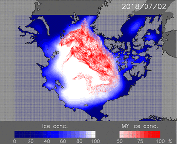 今年７月から９月にかけての海氷分布と多年氷分布赤点の予測図