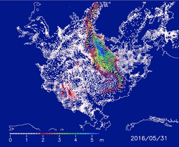 2015年12月1日の海氷域上に等間隔に配置した粒子の2016年5月31日の分布