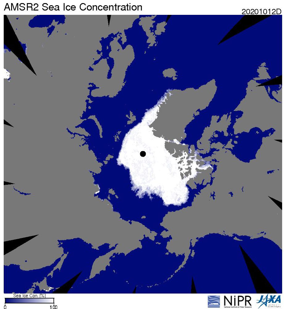 北極海の海氷分布（10月12日）