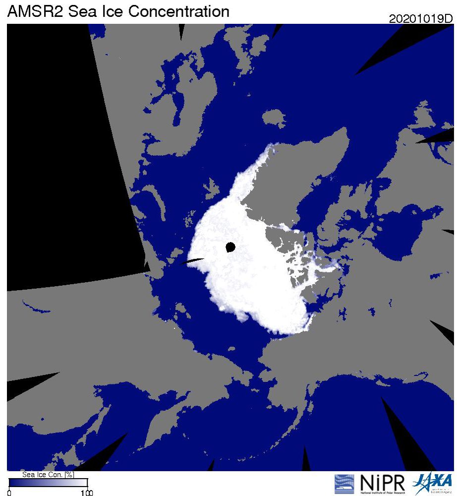 北極海の海氷分布（