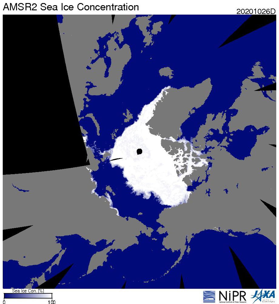 北極海の海氷分布