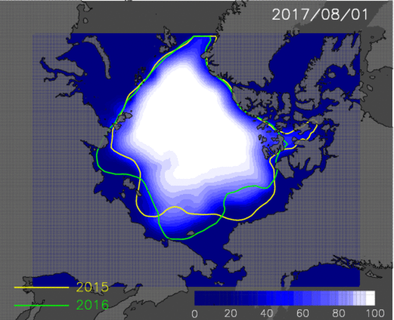 8月1日から9月15までの海氷分布予測値のアニメーション