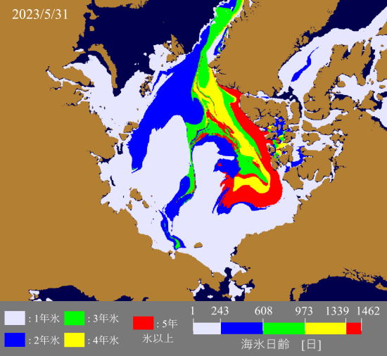 2023年5月31日の海氷年齢分布