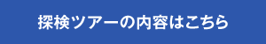 探検ツアー